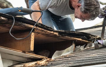 common causes of Pigdon fascia damage