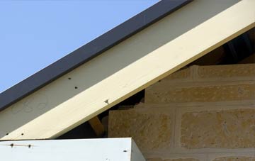 Pigdon fascia repairs