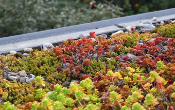 the cost of Pigdon green roof installation