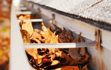 Pigdon gutter cleaning companies