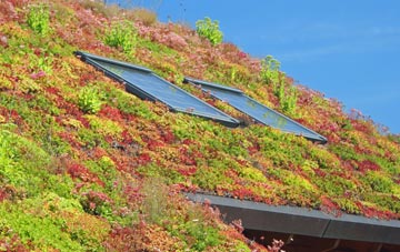 Pigdon living roof systems