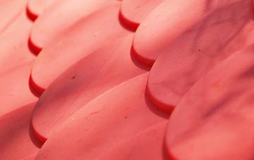 Pigdon plastic roof costs