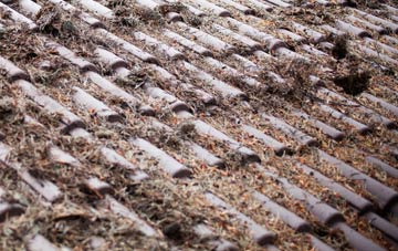 Pigdon roof cleaning companies