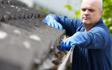 cleaning and inspecting Pigdon roofs