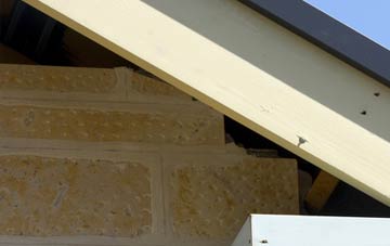 soffit repair Pigdon